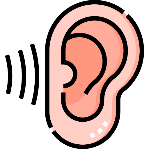 An ear.